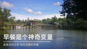 逗小猴开心系列197