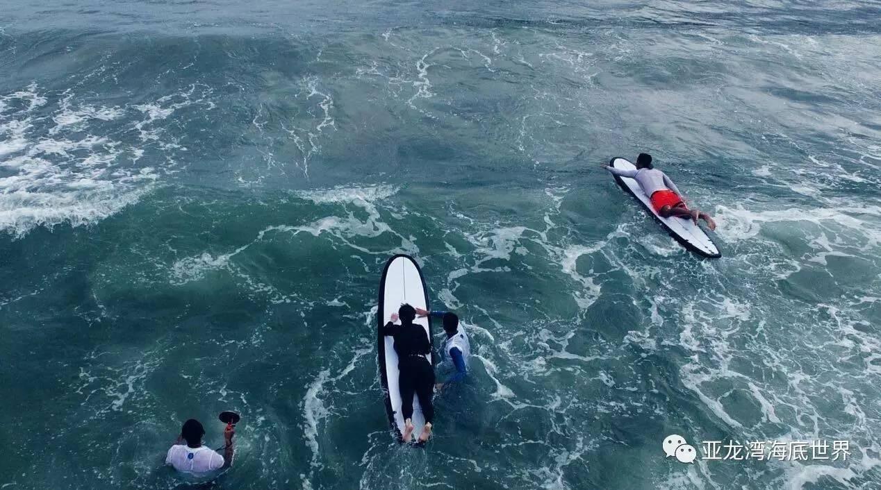 失忆的流浪者